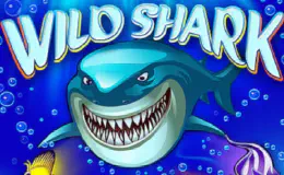 Wild Shark