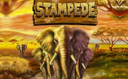 Stampede