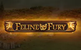 Feline Fury